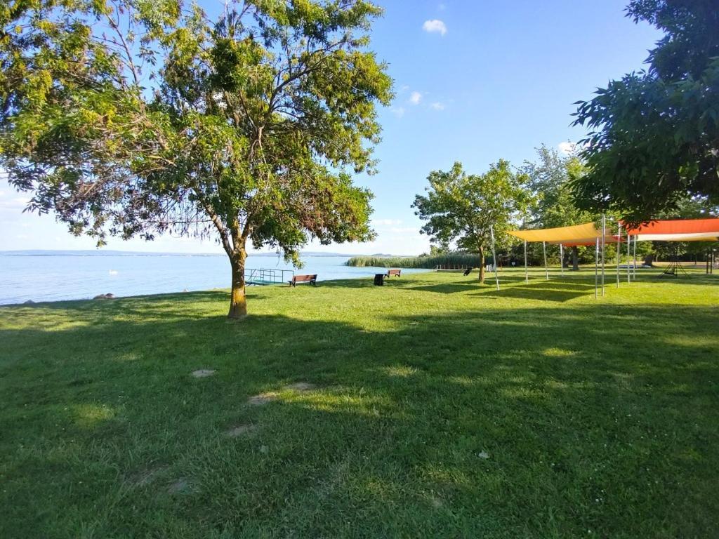 Sir David Balaton Castle Apartmanok Balatonszepezd Εξωτερικό φωτογραφία