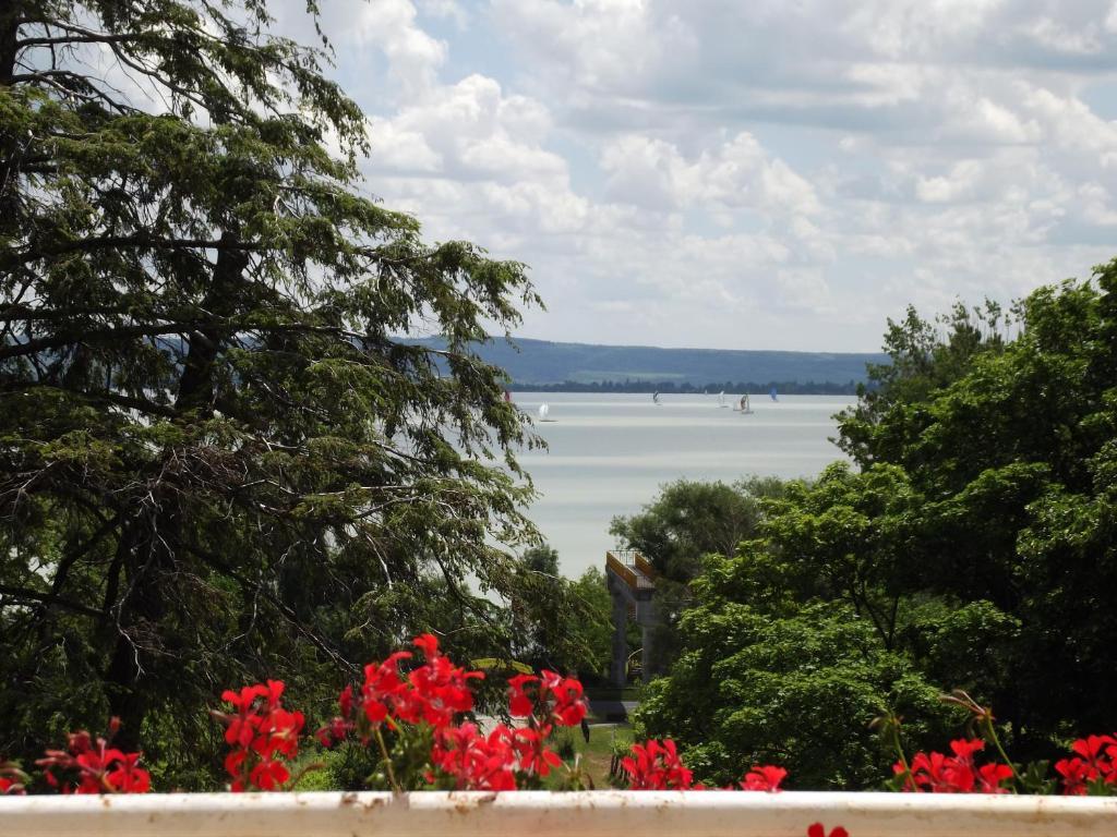 Sir David Balaton Castle Apartmanok Balatonszepezd Εξωτερικό φωτογραφία