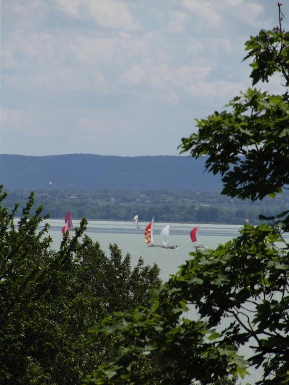 Sir David Balaton Castle Apartmanok Balatonszepezd Εξωτερικό φωτογραφία
