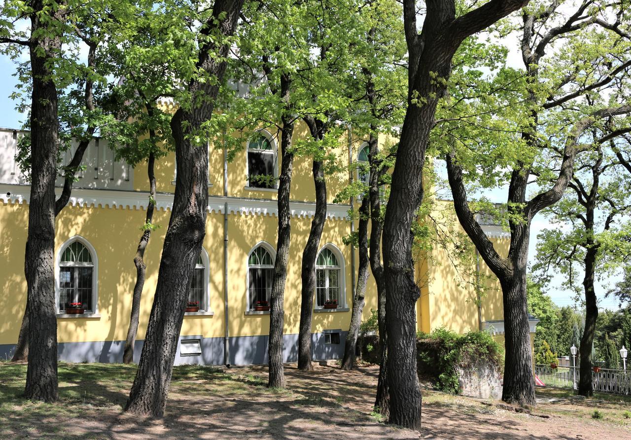Sir David Balaton Castle Apartmanok Balatonszepezd Εξωτερικό φωτογραφία