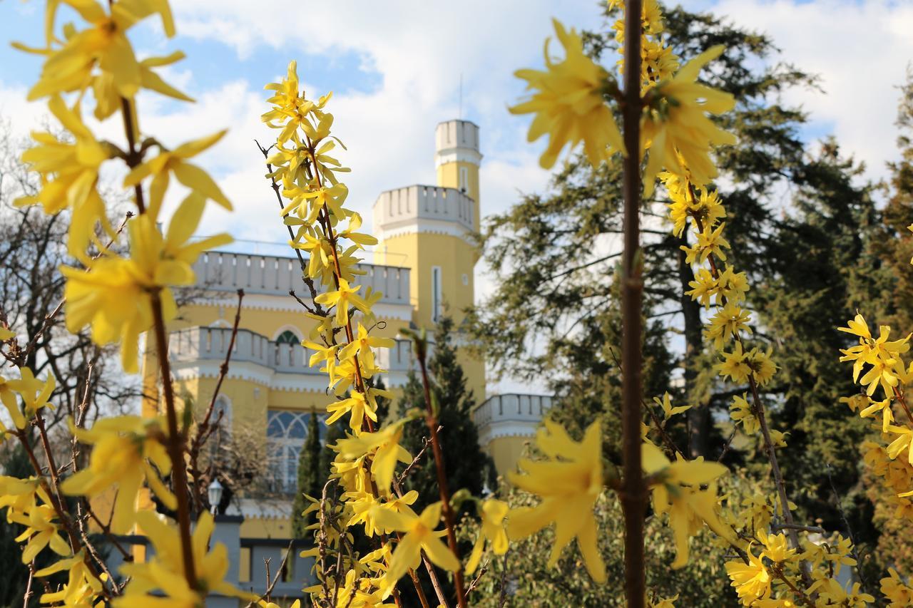 Sir David Balaton Castle Apartmanok Balatonszepezd Εξωτερικό φωτογραφία
