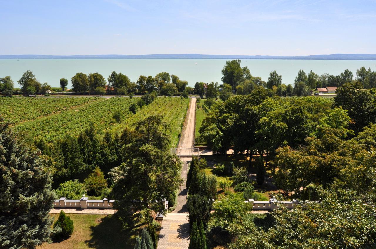 Sir David Balaton Castle Apartmanok Balatonszepezd Εξωτερικό φωτογραφία