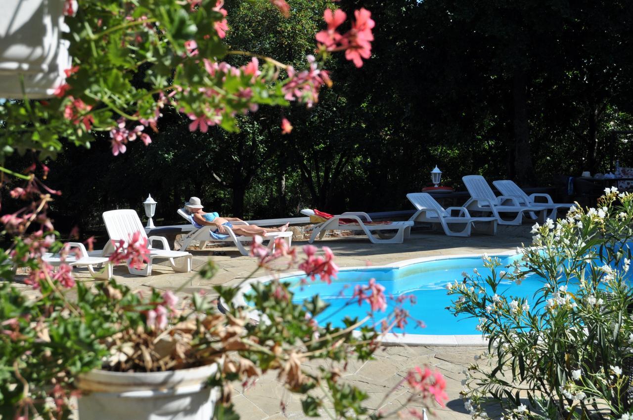 Sir David Balaton Castle Apartmanok Balatonszepezd Εξωτερικό φωτογραφία