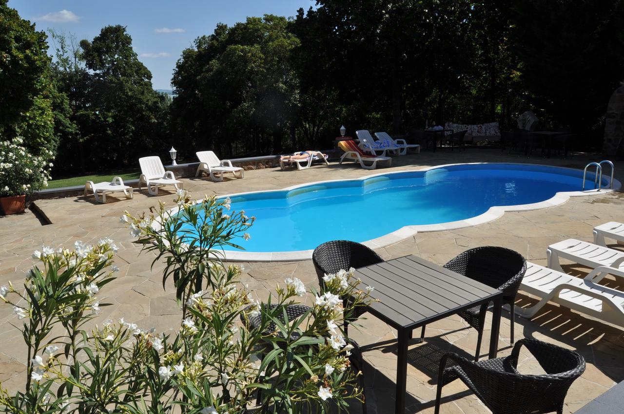 Sir David Balaton Castle Apartmanok Balatonszepezd Εξωτερικό φωτογραφία